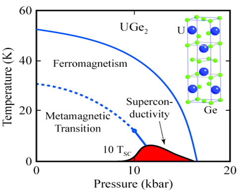 Generic phase diagram for a magnetic quantum critical point