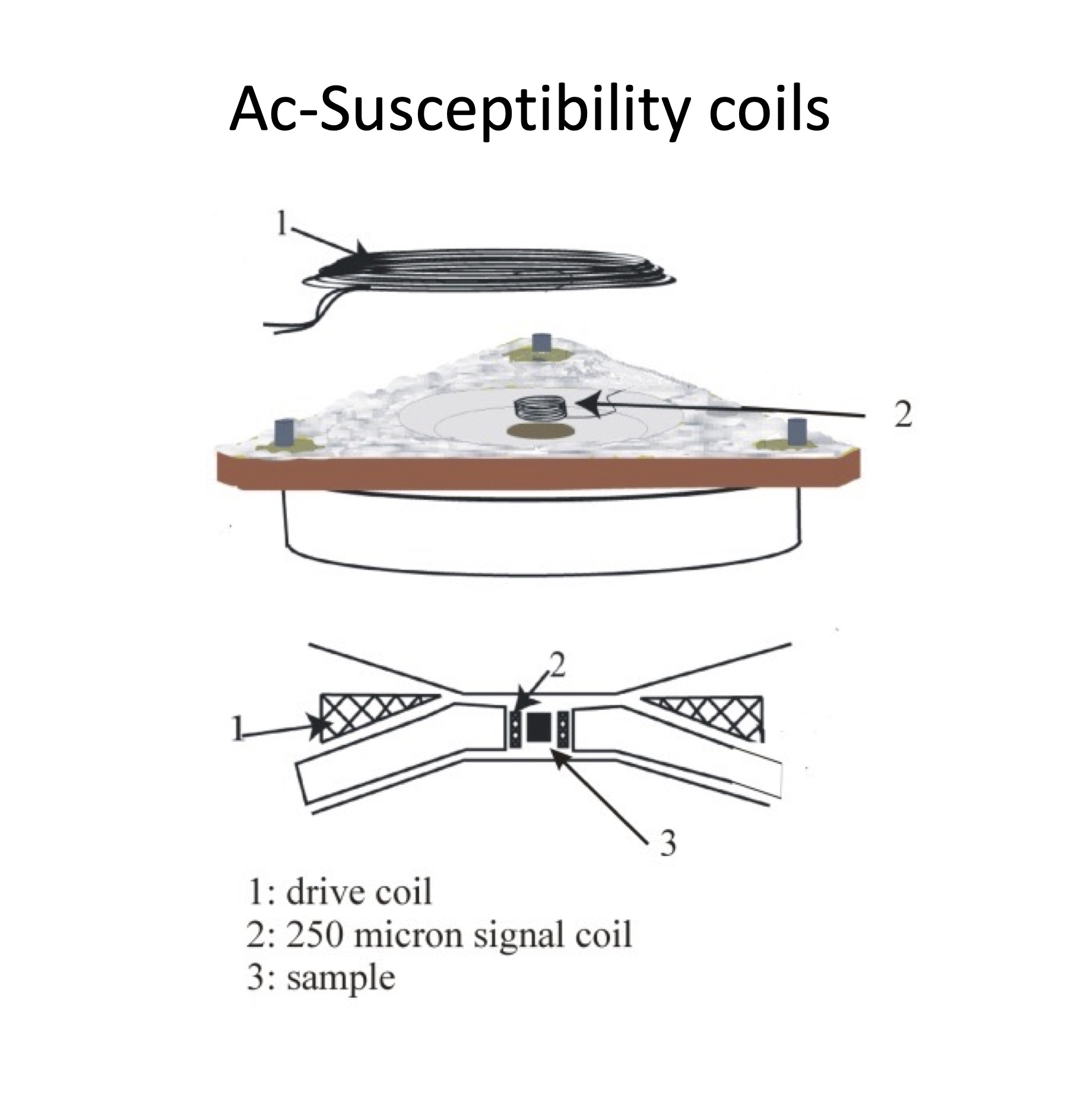 susceptibility setup