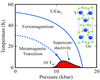 Generic phase diagram for a magnetic quantum critical point
